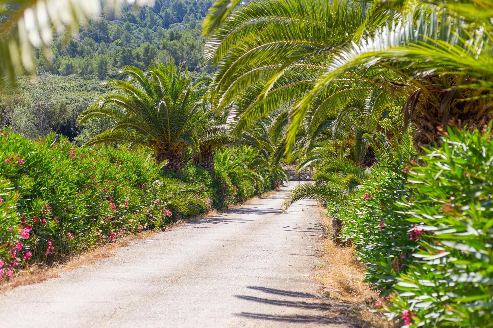 Fangar Agroturismo Campanet Exteriér fotografie